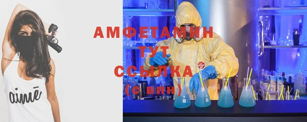 стафф Аркадак