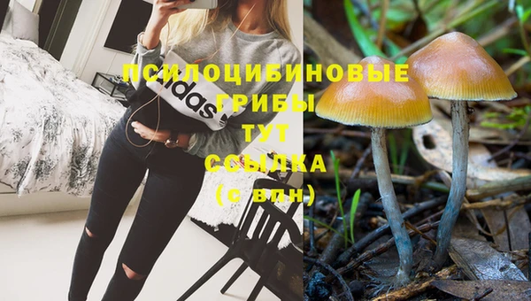 спайс Арсеньев