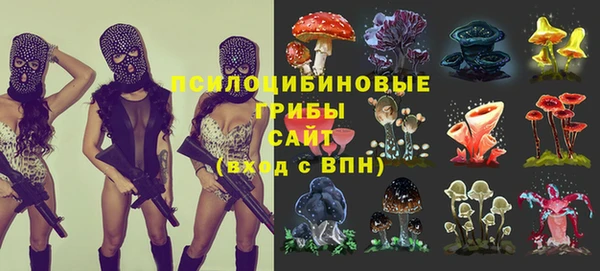 spice Армянск