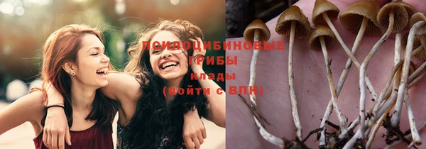 стафф Аркадак
