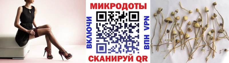 Галлюциногенные грибы MAGIC MUSHROOMS  магазин продажи наркотиков  мега tor  Рыльск 
